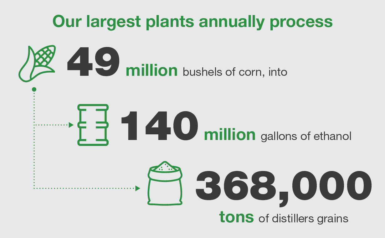 Ethanol Production Infographic